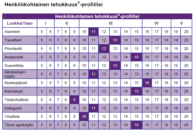 Profiilin graafinen kuva